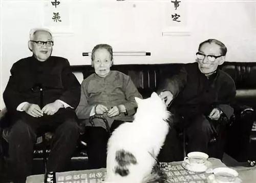 钱钟书：猫