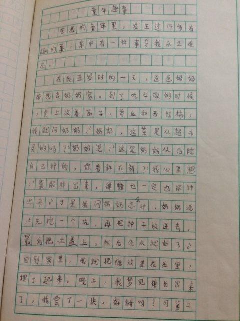 童年的乐趣700字组成