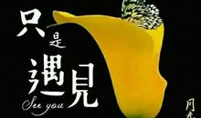 终身受用的社交规则