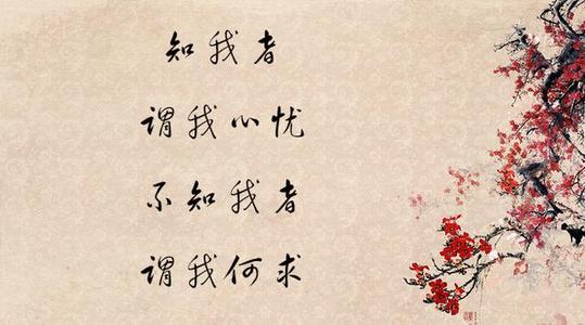 悲伤和美丽的诗