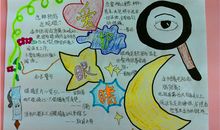 爱眼护眼宣传语