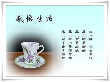 生活感言