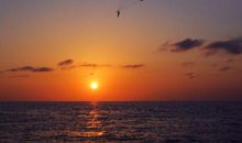 一道残阳铺水中全诗