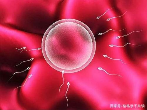 我们必须学会拒绝，我们不会在工作场所成为坏人