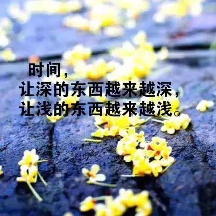 励志文章：花朵绽放，像生命一样