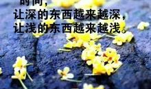 励志文章：花开花谢，犹如人生