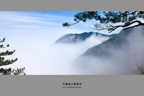 我不知道鲁山的真面目