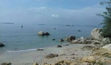 如何应对点菜时每个人都说随便的尴尬场面？