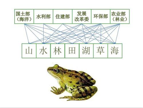 句子中的政治