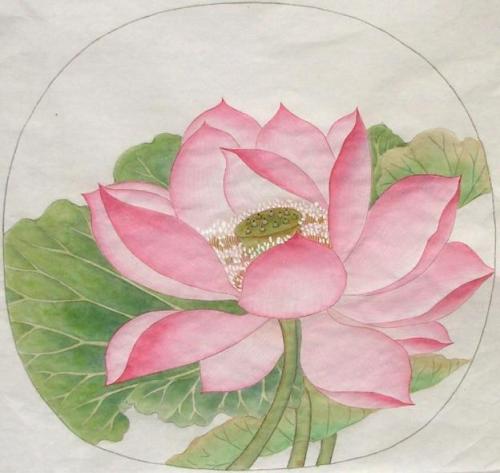 莲花在句子