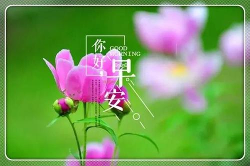 早上好