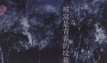 别让舒适成为你青春的坟墓