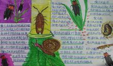 昆虫记精彩片段摘抄