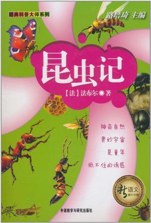 昆虫亮点