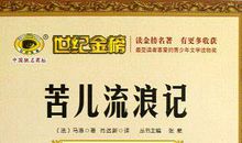 苦儿流浪记主要内容