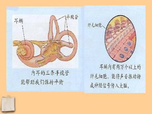 一句话