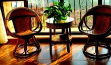 谢冰莹：北平之恋