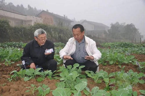 沉克权和沉长健的事迹触动中国