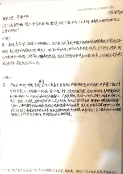 美国读书笔记