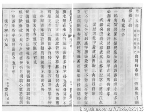 鹌鹑衣百节结