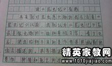 昆虫记读后感450字