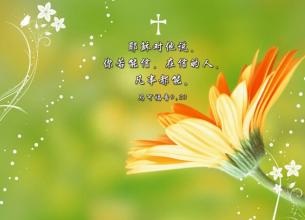 赞美家庭的句子