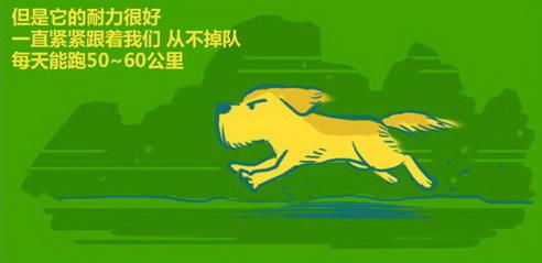 哈佛商学院的热门鼓舞人心的故事（2）
