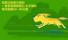 哈佛商学院流行励志小故事（二）