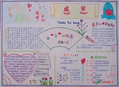 以关怀为主题的句子