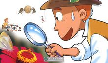 法布尔昆虫记读后感