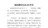 我们的课余生活作文