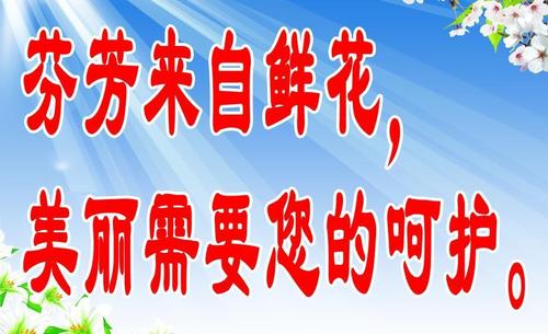 美化口号