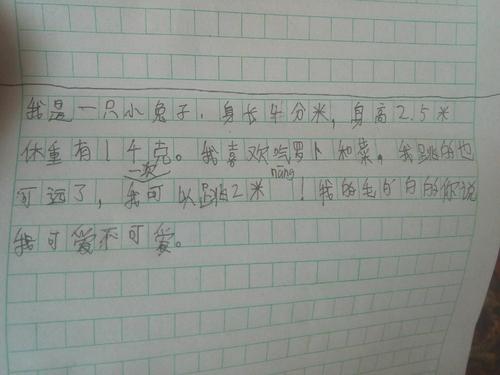我最担心的事情