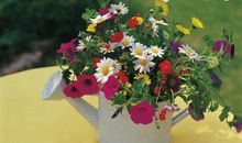 经典语录：只与同好争高下，不跟白痴论短长