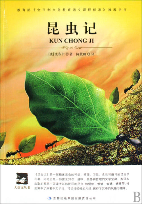 关于昆虫的思考