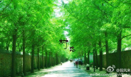 关于夏天
