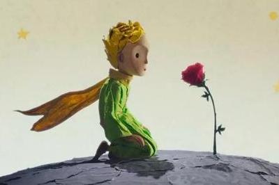 尘埃不低的种子不会开花