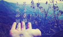 逆风如解意容易莫摧残全诗