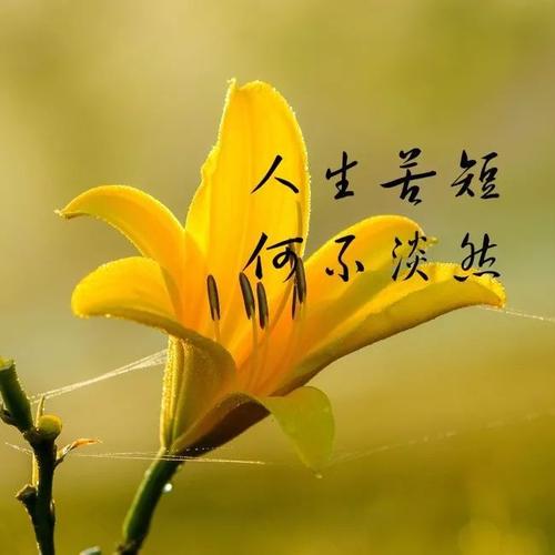 早安心语：爱是在正确的时间和地点相遇的经历