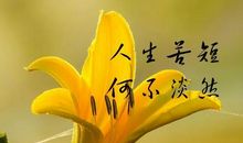 早安心语:爱,是一场天时地利的相遇