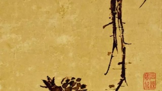 徐炜的名言