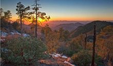 真正聪明的人都是下笨功夫