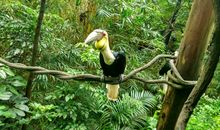 养成让自己进步的31个习惯