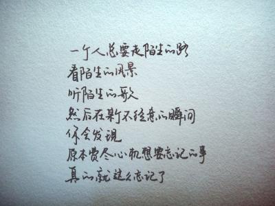 美丽的爱情宣言