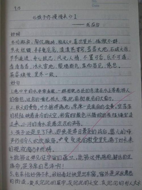 关于阅读的好句子集