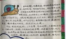 幼儿园教师读书笔记