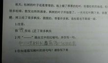 描写枫叶的现代诗