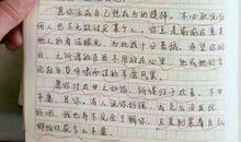 现在我变了作文