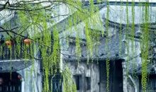 人生感悟:100件人生应做的无用之事