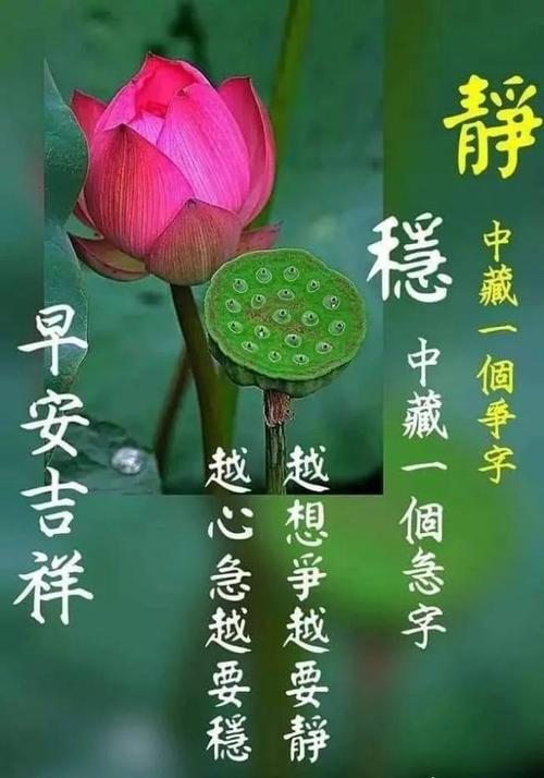 早安留言